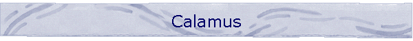 Calamus