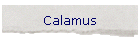 Calamus