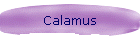 Calamus