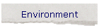 Environment