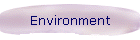 Environment